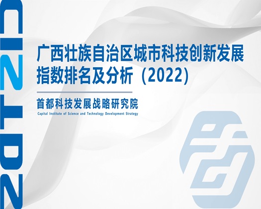 女生被操出白浆视频【成果发布】广西壮族自治区城市科技创新发展指数排名及分析（2022）